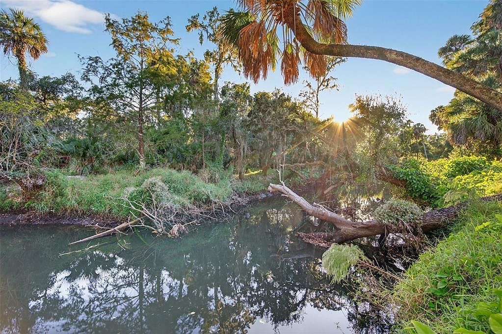 6345 Lost Trl Holiday, FL 34690 - Thumbnail 3