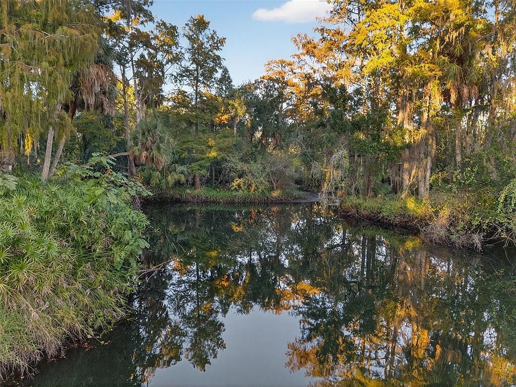 6350 Lost Trl Holiday, FL 34690 - Thumbnail 3