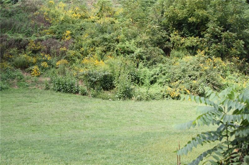 0 Mahwinney Rd - Thumbnail 3