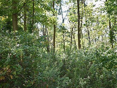 298 Hidden Valley Rd, McMurray, PA 15317, USA - Thumbnail 3