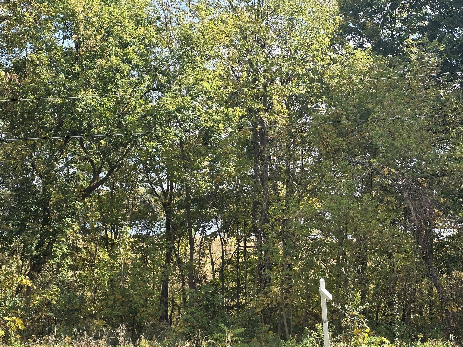 Hankerd Rd Pleasant Lake, MI 49272 - Thumbnail 3