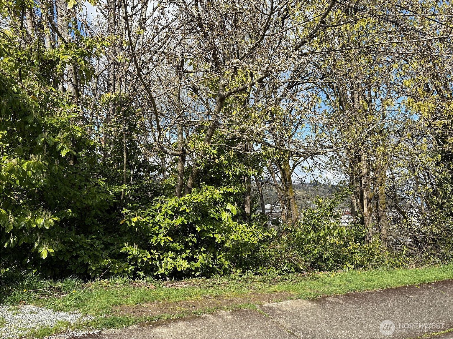 38 Xx 21st Ave Seattle, WA 98106 - Thumbnail 3