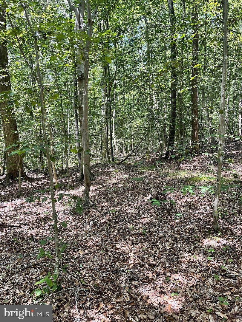 LOT 28 Compass Ct King George, VA 22485 - Thumbnail 3