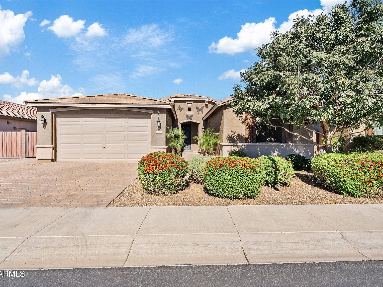 78 W White Oak Ave San Tan Valley, AZ 85140 - Thumbnail 3