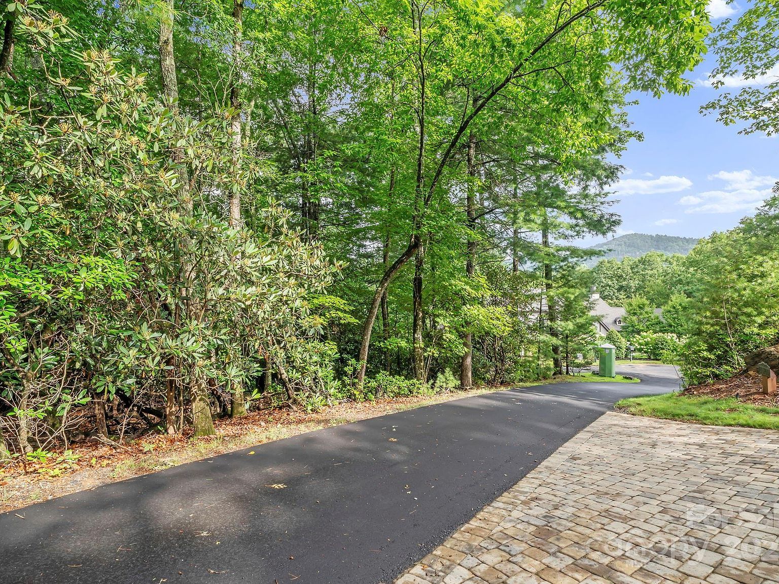 52 Dividing Ridge Trl Arden, NC 28704 - Thumbnail 3