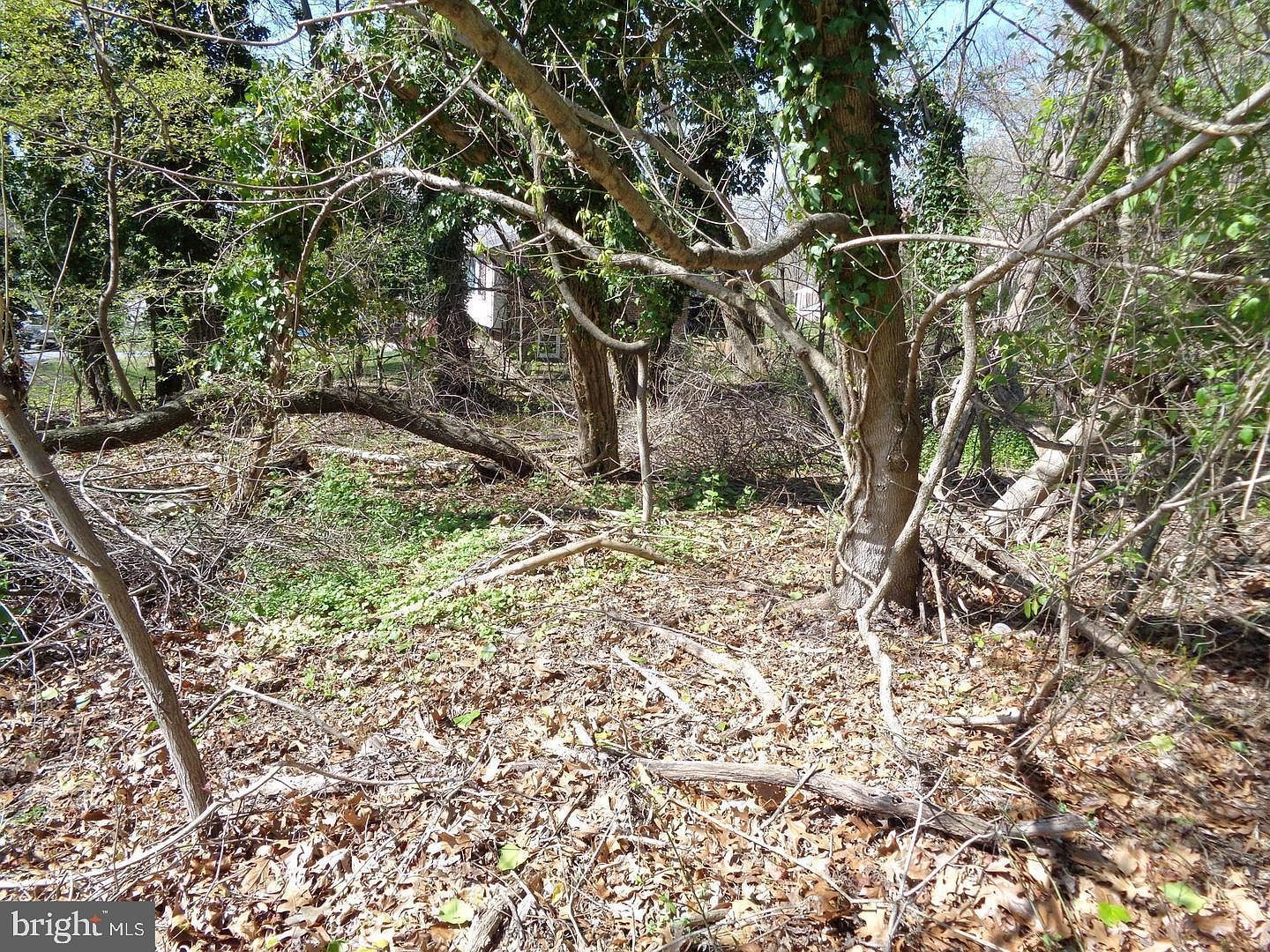 0 Piscataway Rd Clinton, MD 20735 - Thumbnail 3