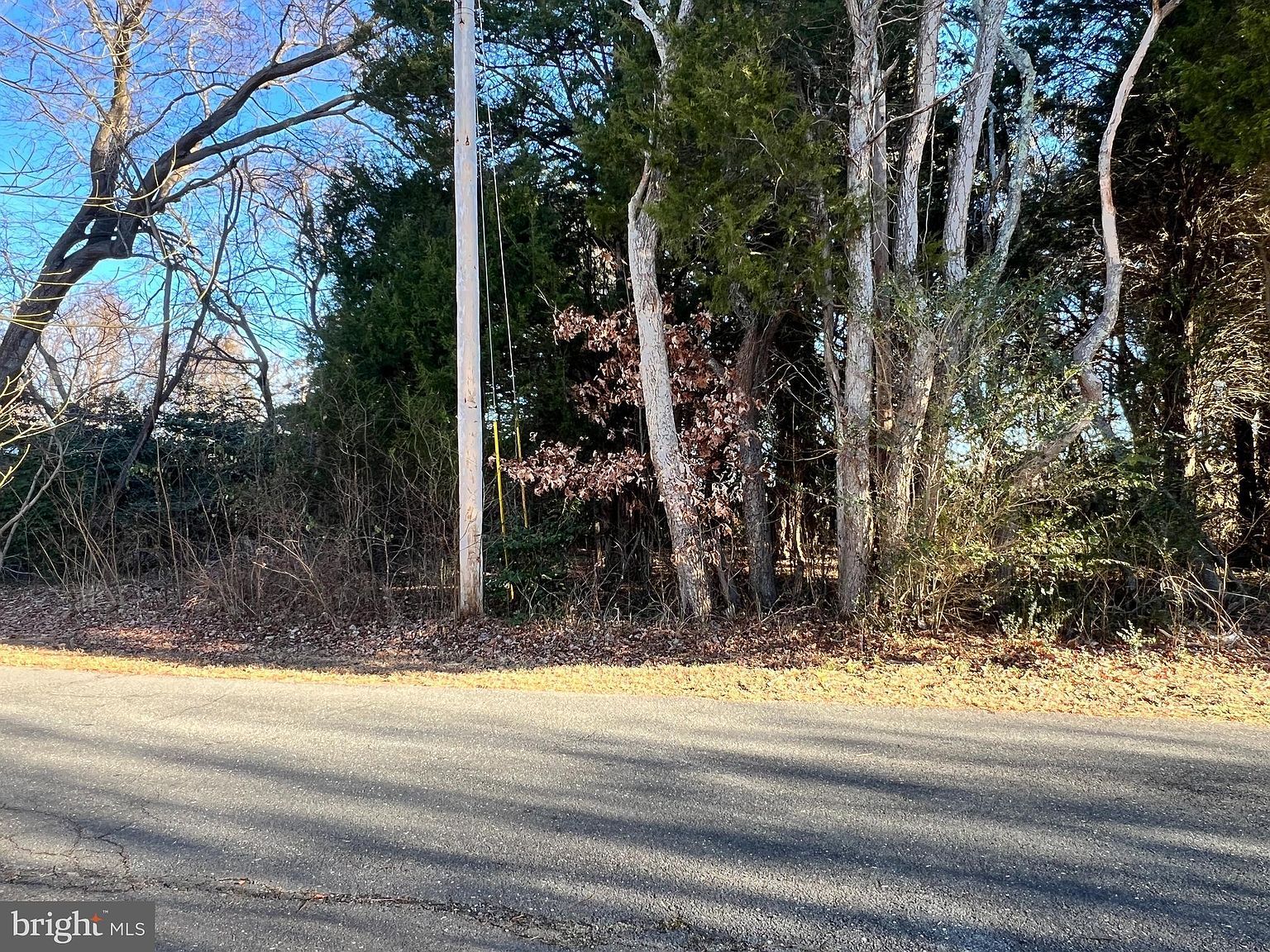 Bay Dr Chaptico, MD 20621 - Thumbnail 3