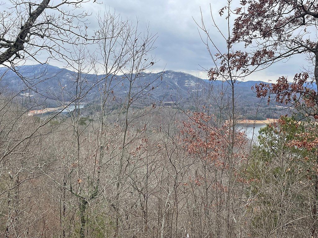 100 Ridge View Dr #11 Bryson City, NC 28713 - Thumbnail 3