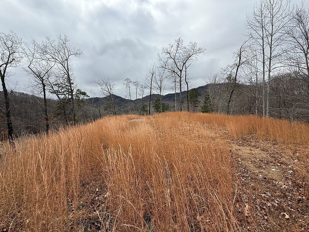 50-3 Cherokee Rdg Bryson City, NC 28713 - Thumbnail 3