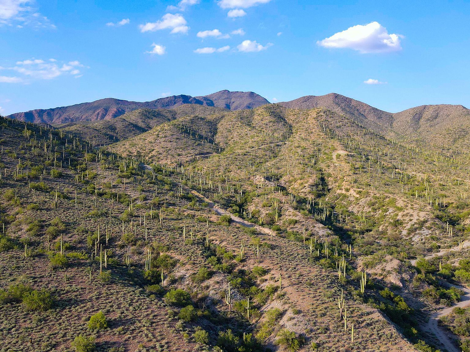 7700 E Highland Rd Cave Creek, AZ 85331 - Thumbnail 3