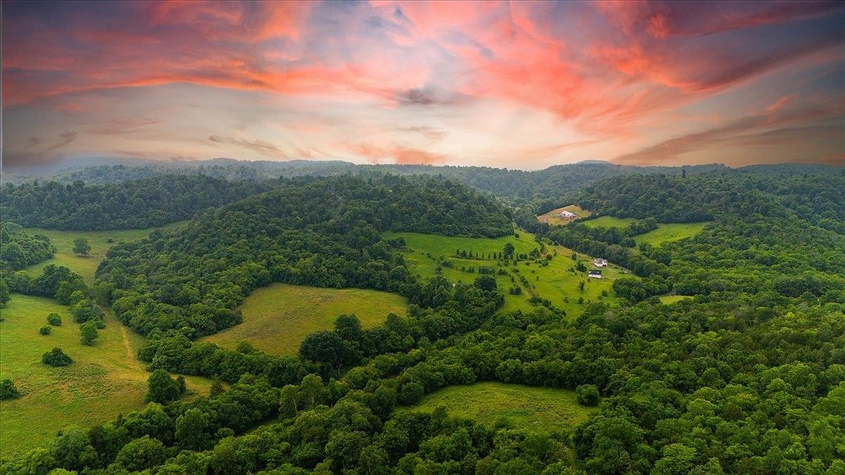 0 Opossum Paw Rd LOT 5 Beechgrove, TN 37018 - Thumbnail 3