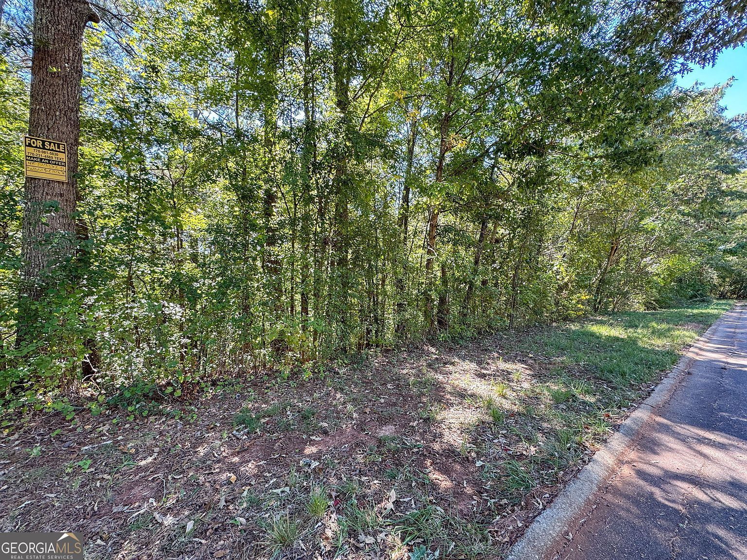 16 Approved Lots Ready To Blvd Covington, GA 30016 - Thumbnail 3