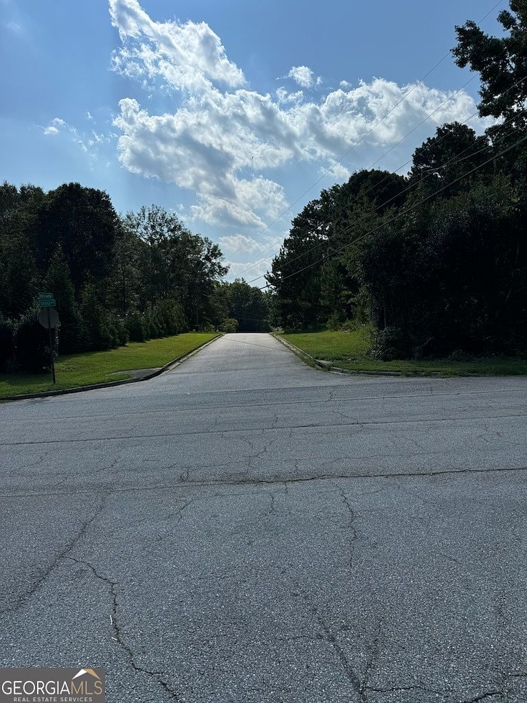 0 Yorktown Ave Hampton, GA 30228 - Thumbnail 3