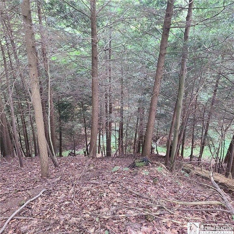 LOT 1B Bowen Rd Randolph, NY 14772 - Thumbnail 3