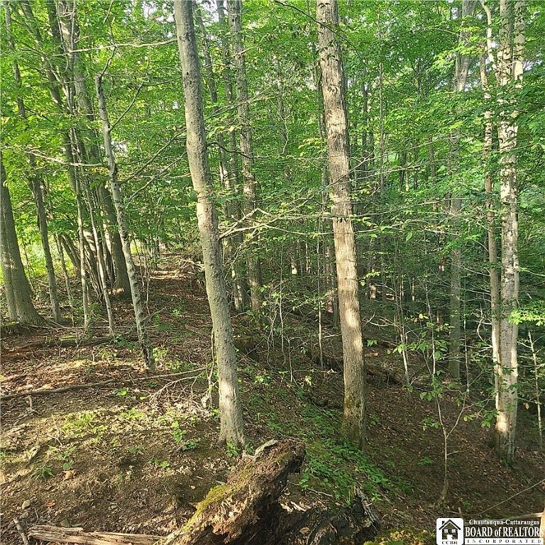 LOT 1A Bowen Rd Randolph, NY 14772 - Thumbnail 3