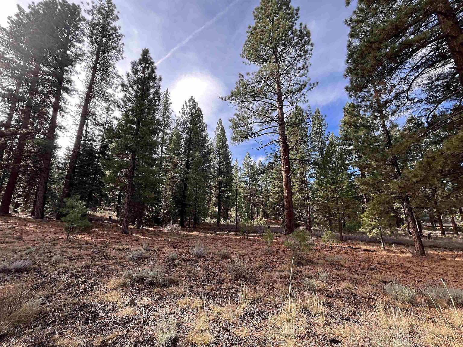 15411 Kent Dr Truckee, CA 96161 - Thumbnail 3