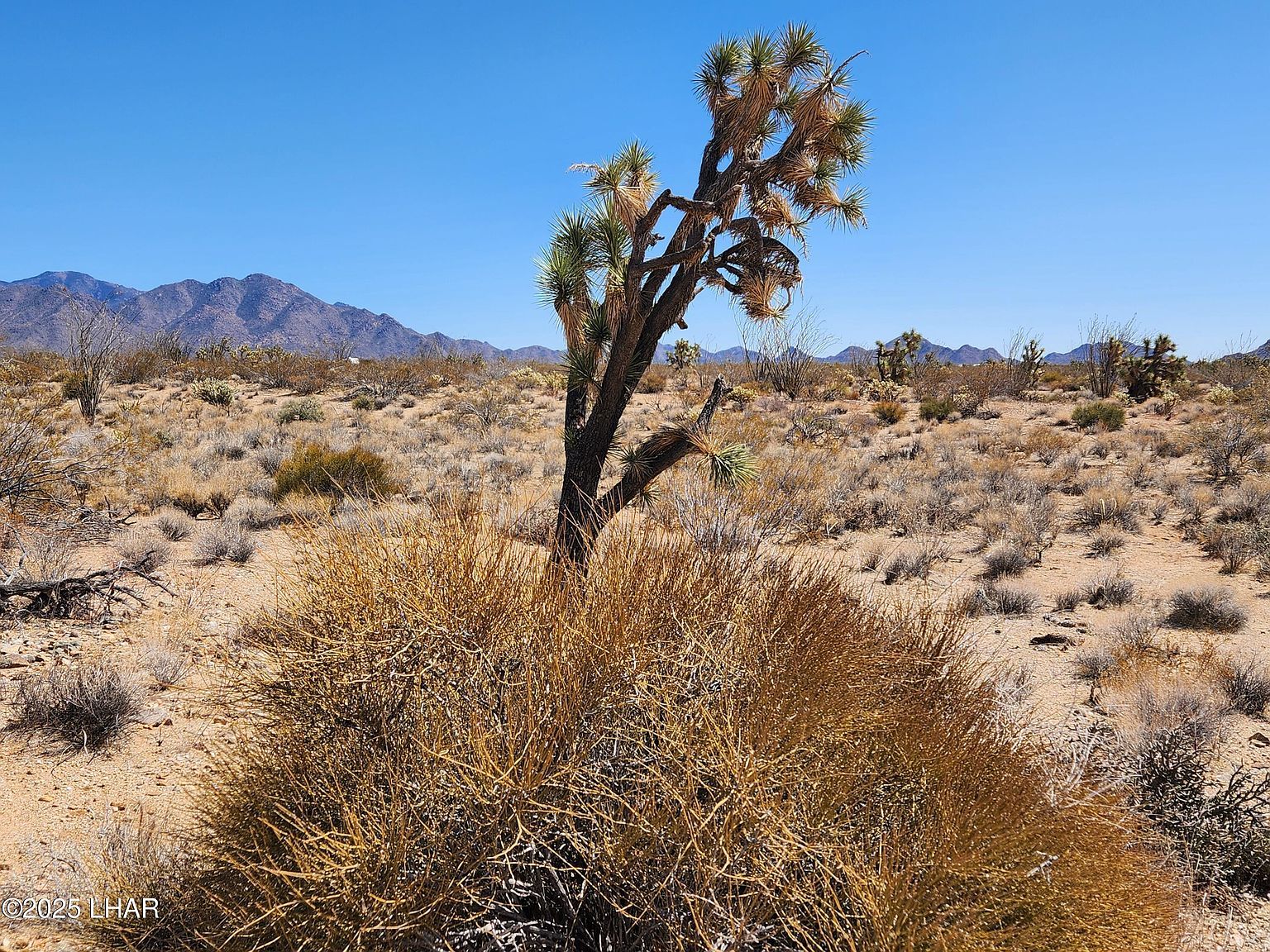 LOT 357 E Adobe Dr Yucca, AZ 86438 - Thumbnail 3