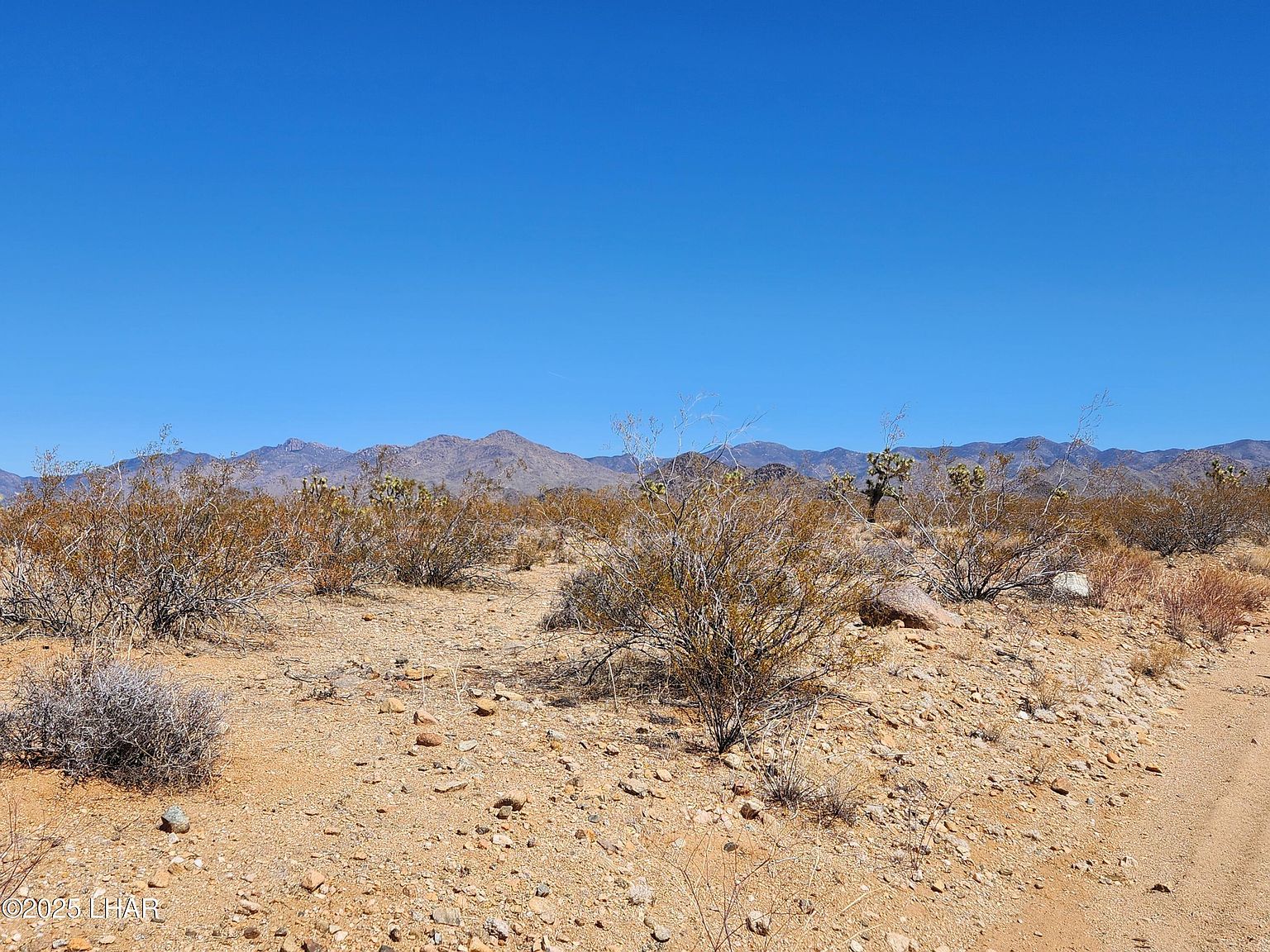 328 E Oscar Dr Yucca, AZ 86438 - Thumbnail 3