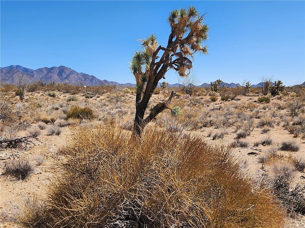 LOT 357 E Adobe Dr #13/6 Yucca, AZ 86438 - Thumbnail 3