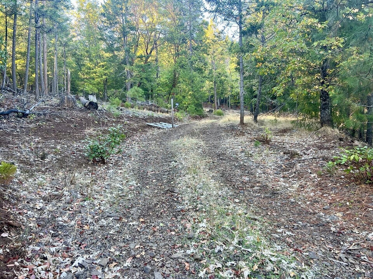 501 Elder Mill Rd Trail, OR 97541 - Thumbnail 3