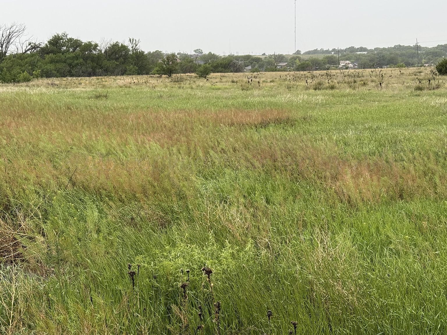 203 NW 16th Ave Amarillo, TX 79107 - Thumbnail 3