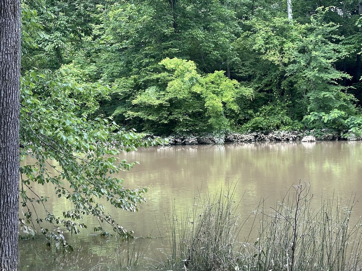 1341 Chapmansboro Rd Chapmansboro, TN 37035 - Thumbnail 3