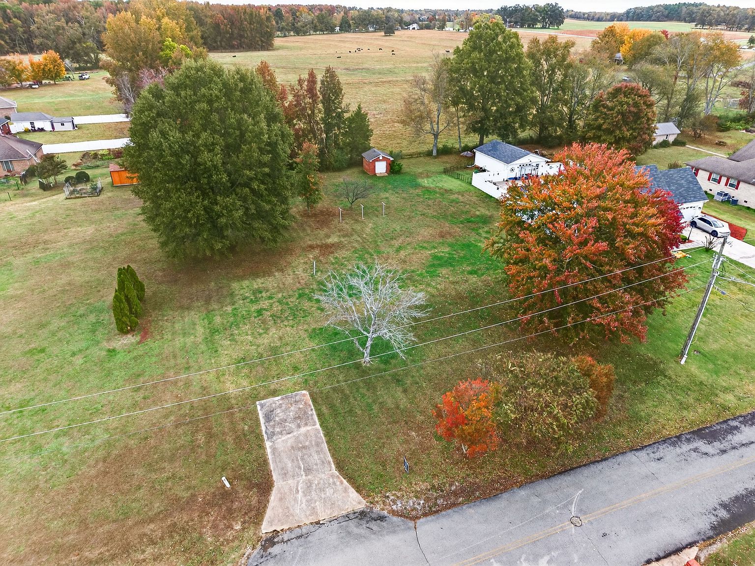 26081 Pheasant Run Ardmore, TN 38449 - Thumbnail 3