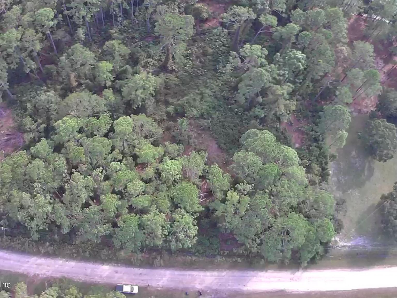 105 Pine Cone Dr Georgetown, FL 32139 - Thumbnail 3