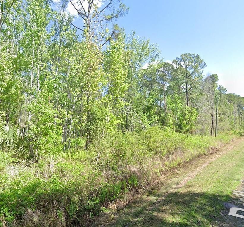 210 Redwood Blvd LOT 23, Georgetown, FL, 32139 - Thumbnail 3