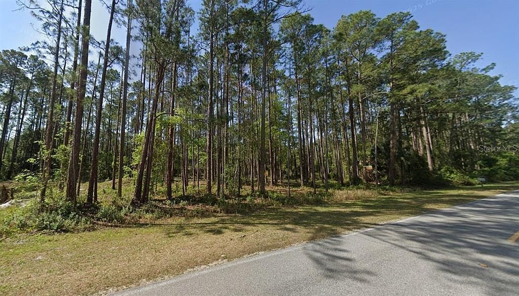 243 & 245 Georgetown Denver Rd LOT 12 Georgetown, FL 32139 - Thumbnail 3