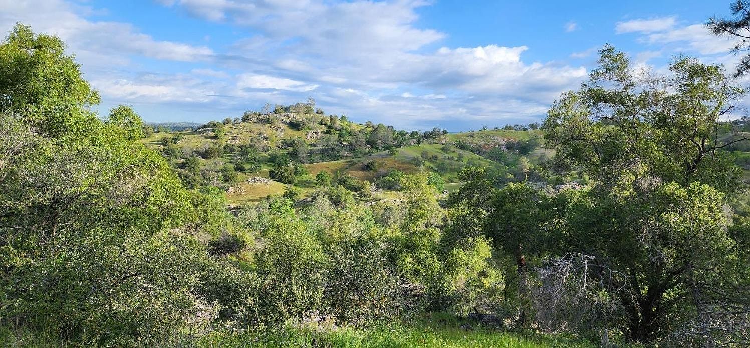 47470 Road 210 Friant, CA 93626 - Thumbnail 3