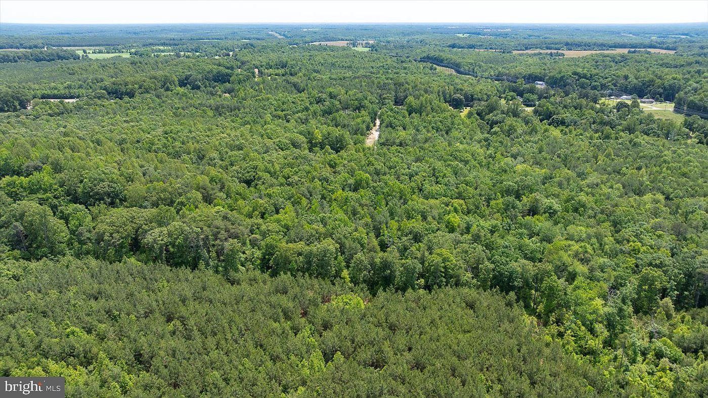 LOT 2 Golansville Rd Ruther Glen, VA 22546 - Thumbnail 3