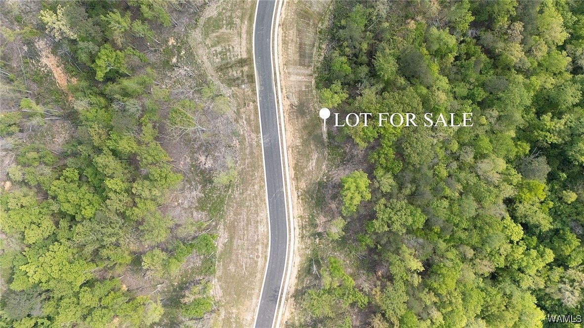 18 Fiji Way Tuscaloosa, AL 35406 - Thumbnail 3