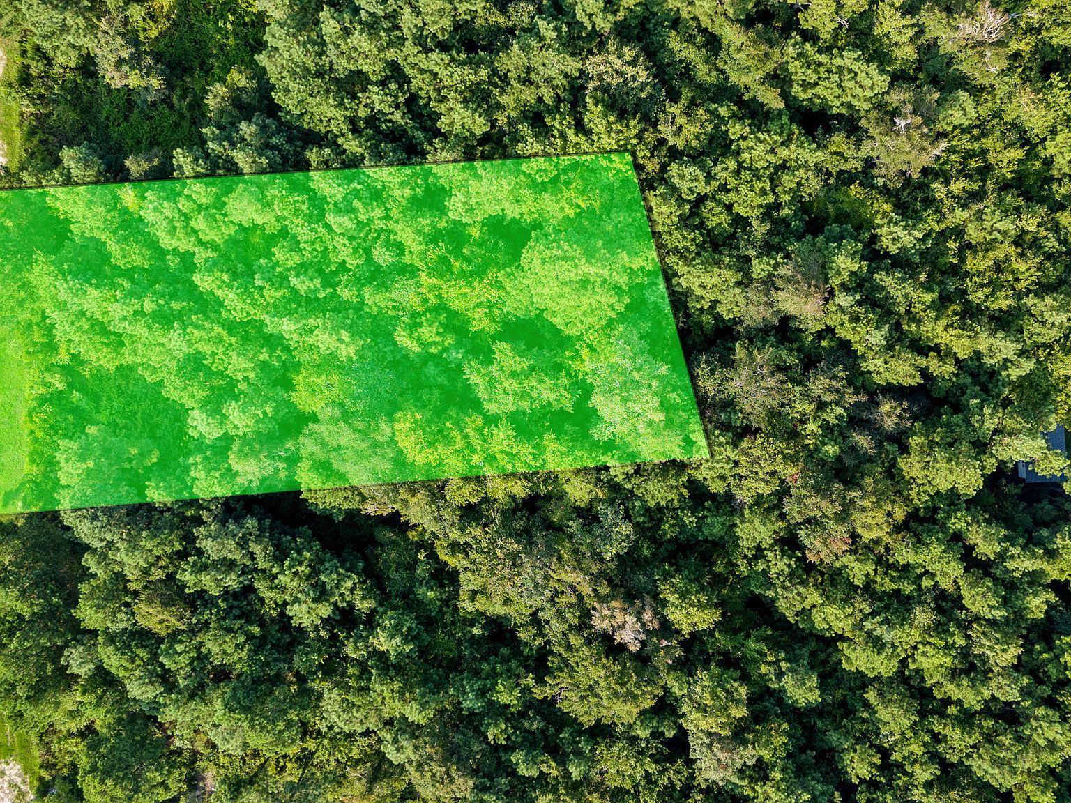 326 Spicer Lake Dr Holly Ridge, NC 28445 - Thumbnail 3