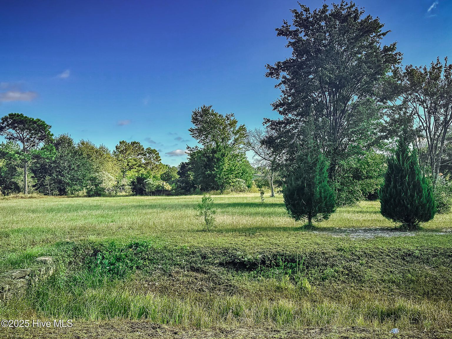 3975 Sourwood Ct NE Leland, NC 28451 - Thumbnail 3