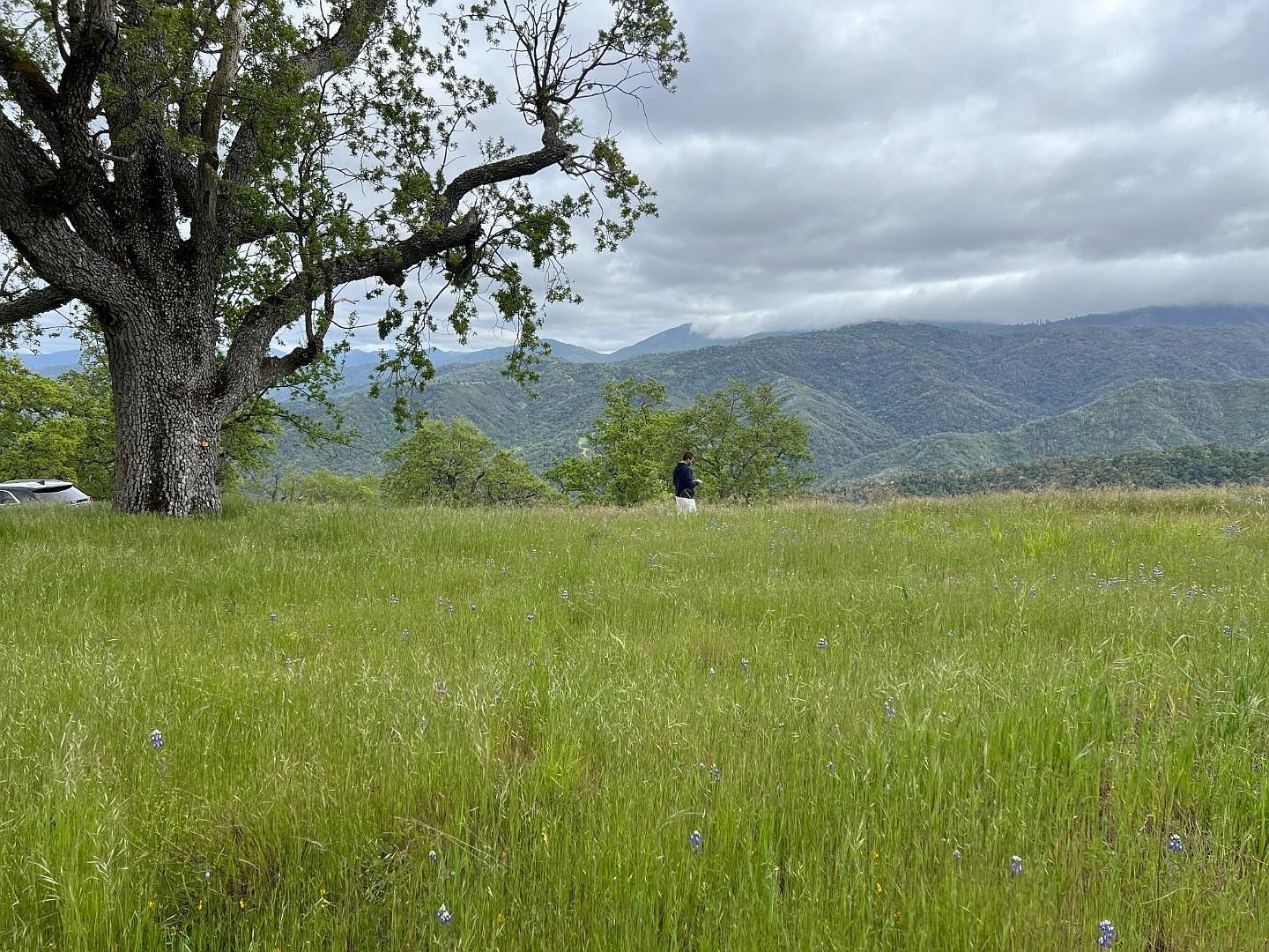 13 Long Ridge Trl Carmel, CA 93923 - Thumbnail 3