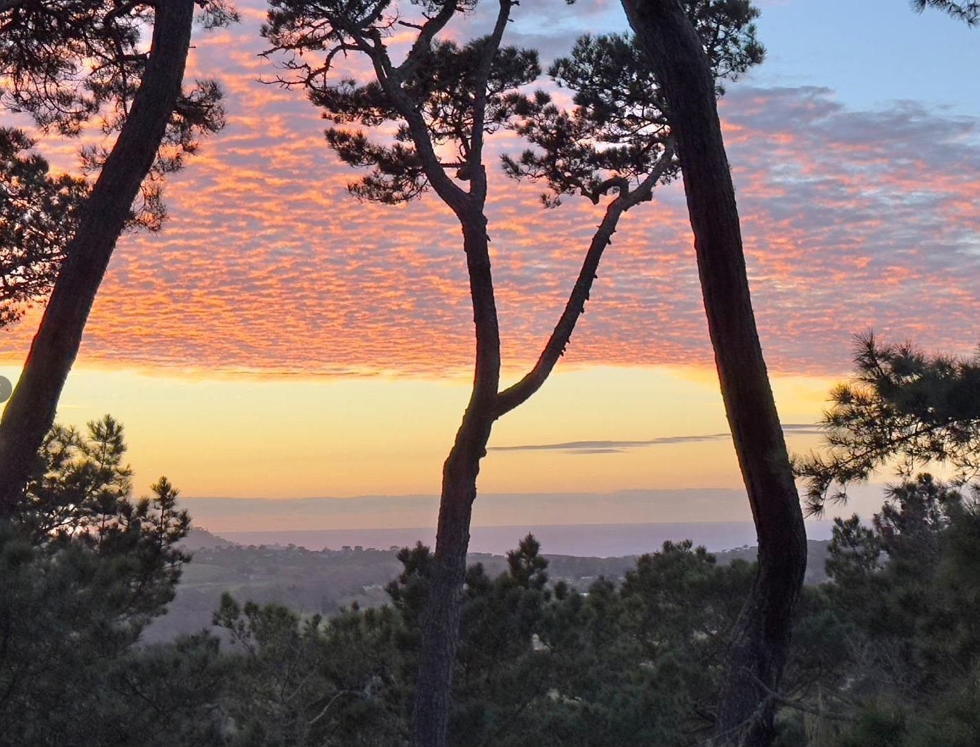 31 Del Mesa Carmel Carmel, CA 93923 - Thumbnail 3