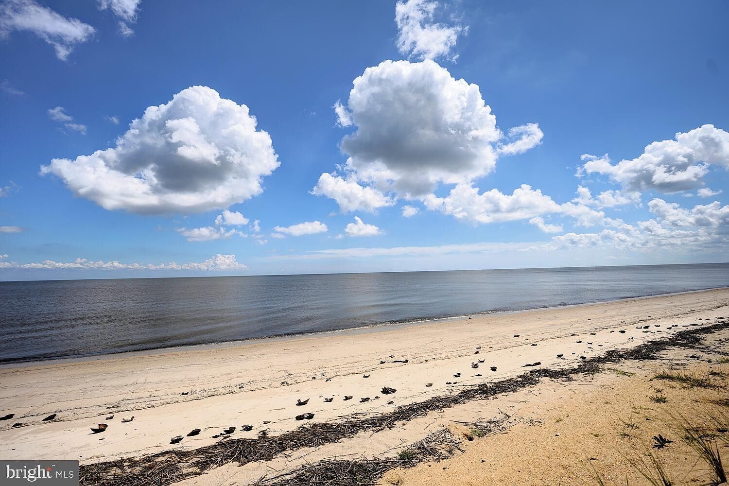 173 S Sandpiper Dr Dover, DE 19901 - Thumbnail 3