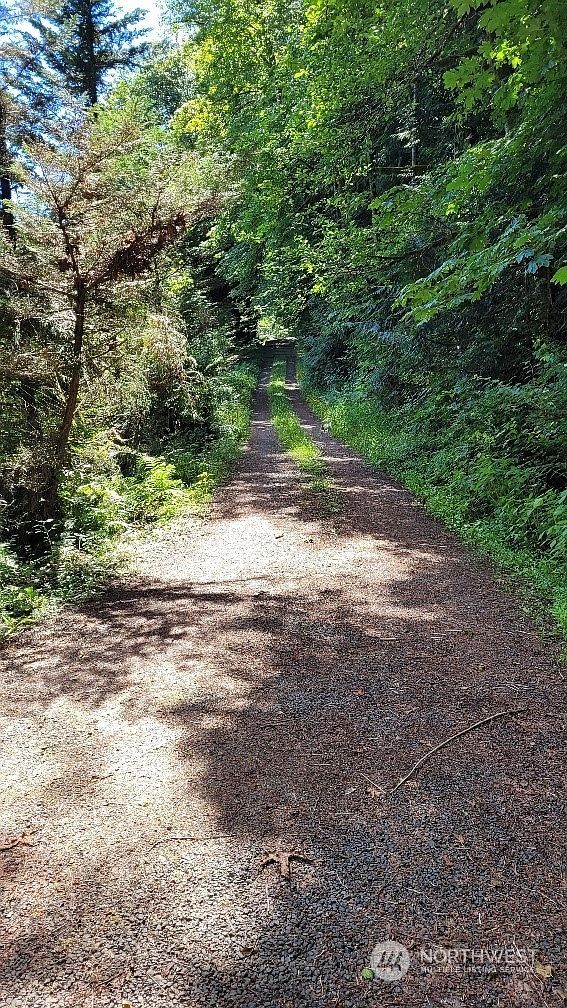 0 NE Cedar Creek Rd Woodland, WA 98674 - Thumbnail 3