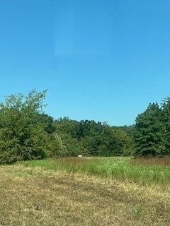 County Road 1180 Cooper, TX 75432 - Thumbnail 3