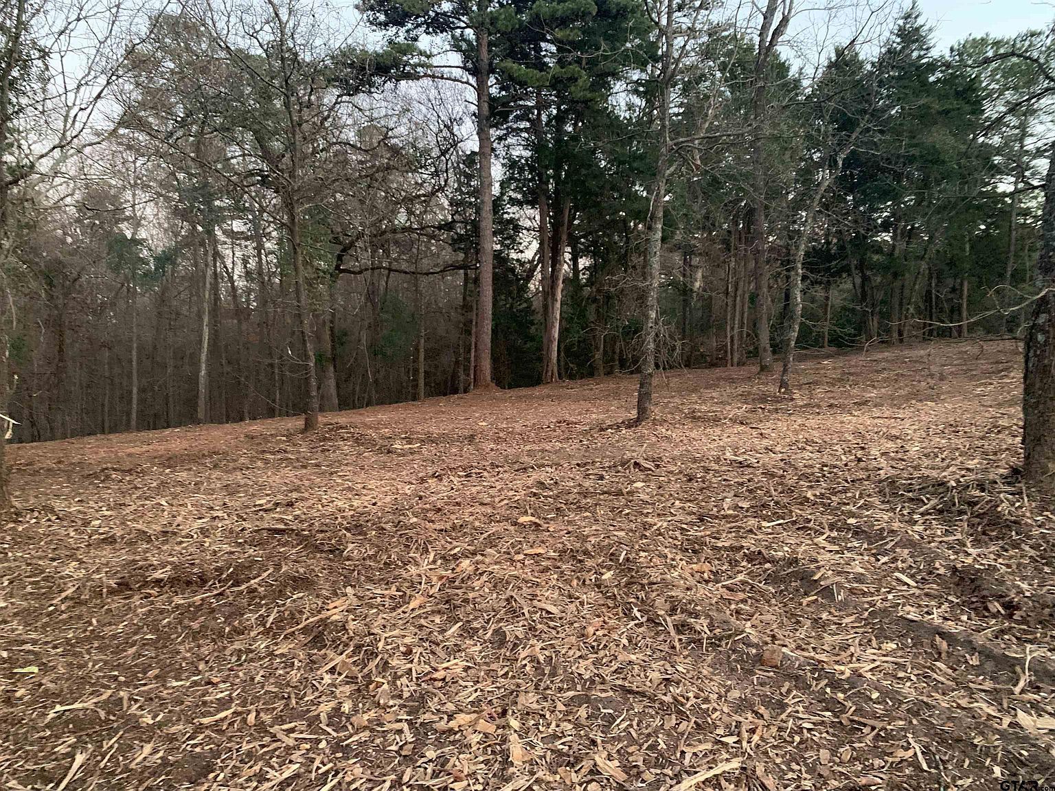 Pedernales St Scroggins, TX 75480 - Thumbnail 3