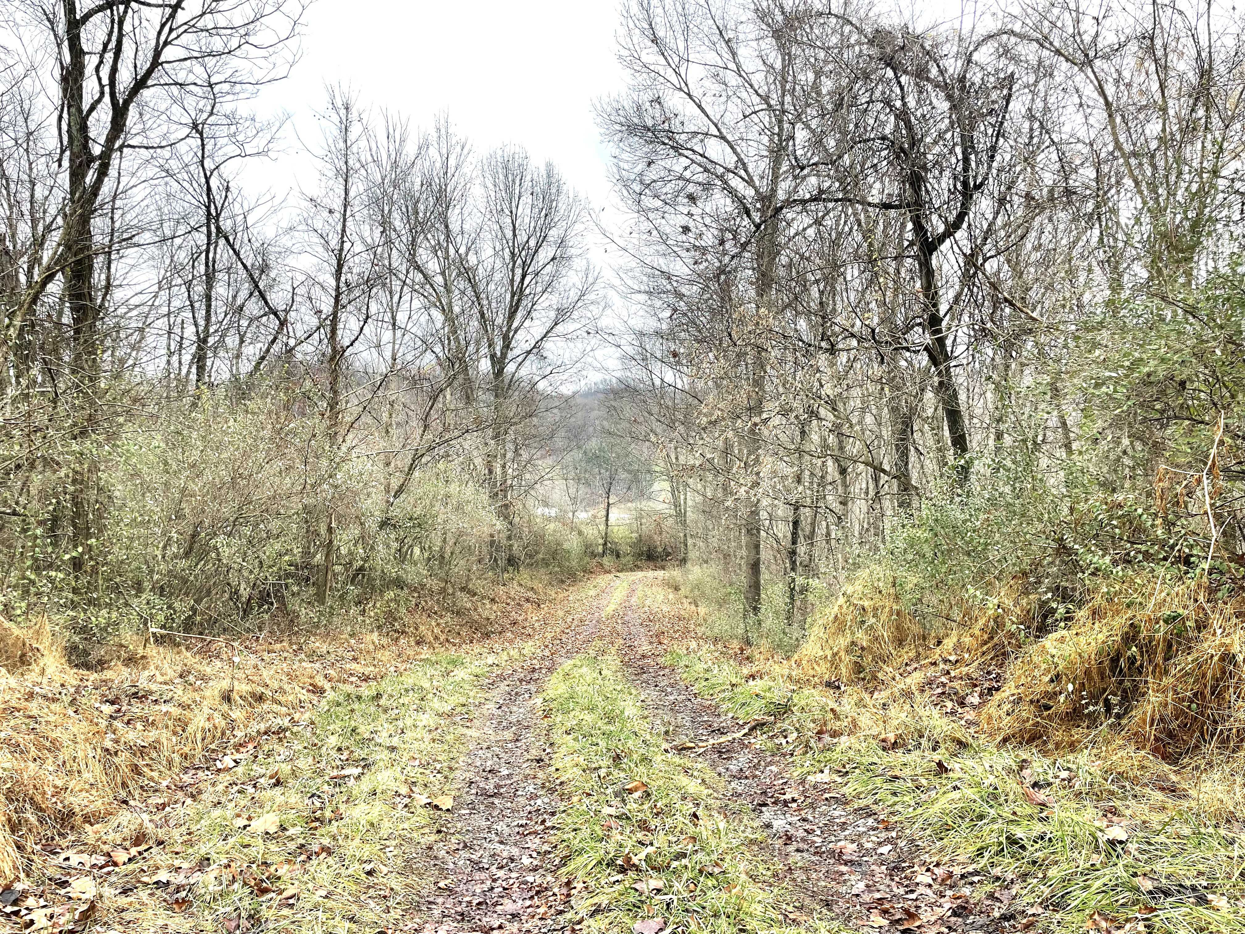 00 Isaacs Creek Rd., Lost Creek, WV, 26385 - Thumbnail 3