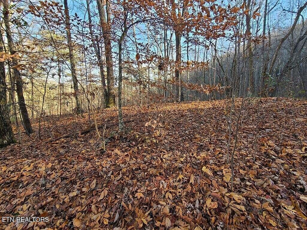 LOT 9 Walden Flats Way Sevierville, TN 37862 - Thumbnail 3