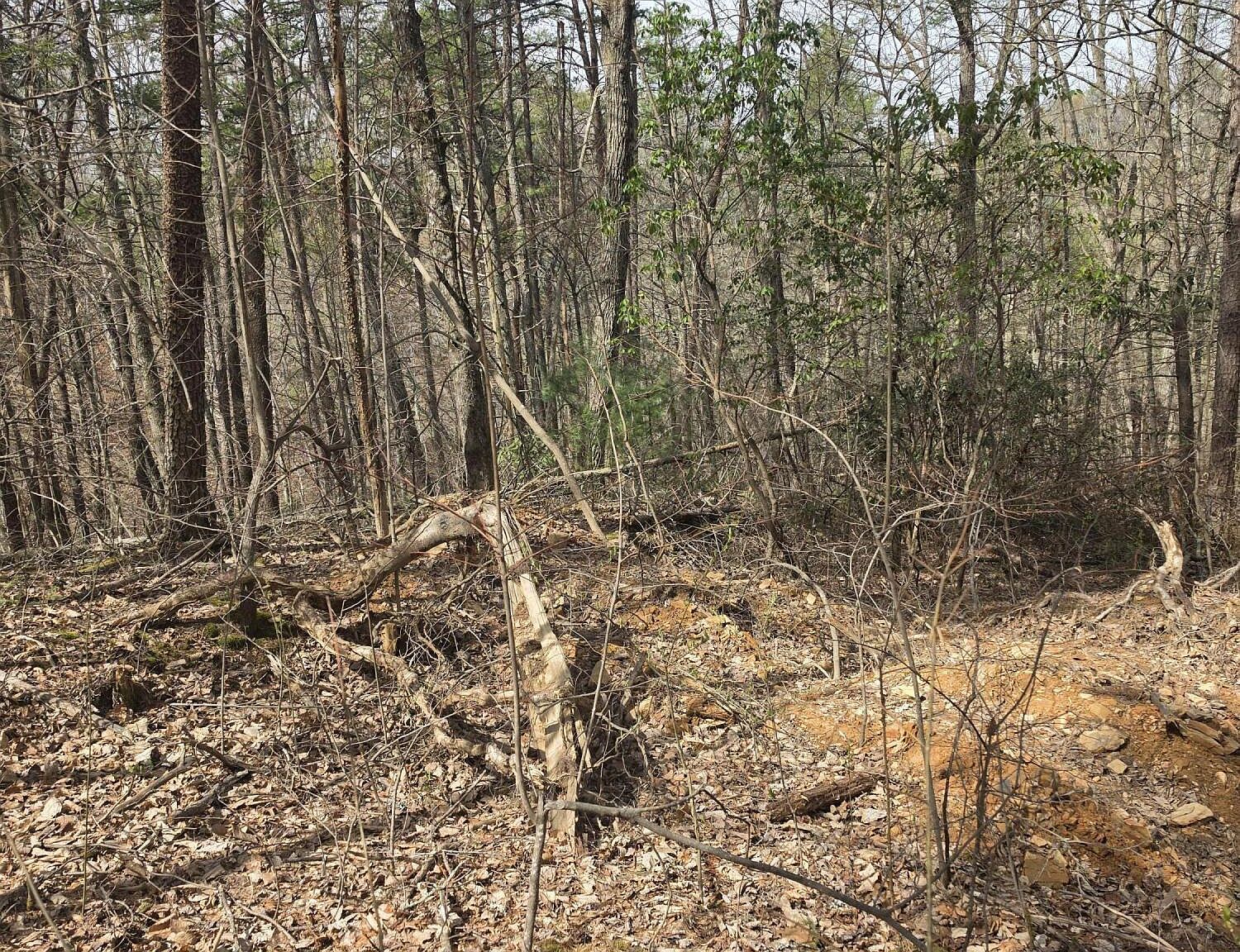 101 Ridgefield Dr Sevierville, TN 37876 - Thumbnail 3