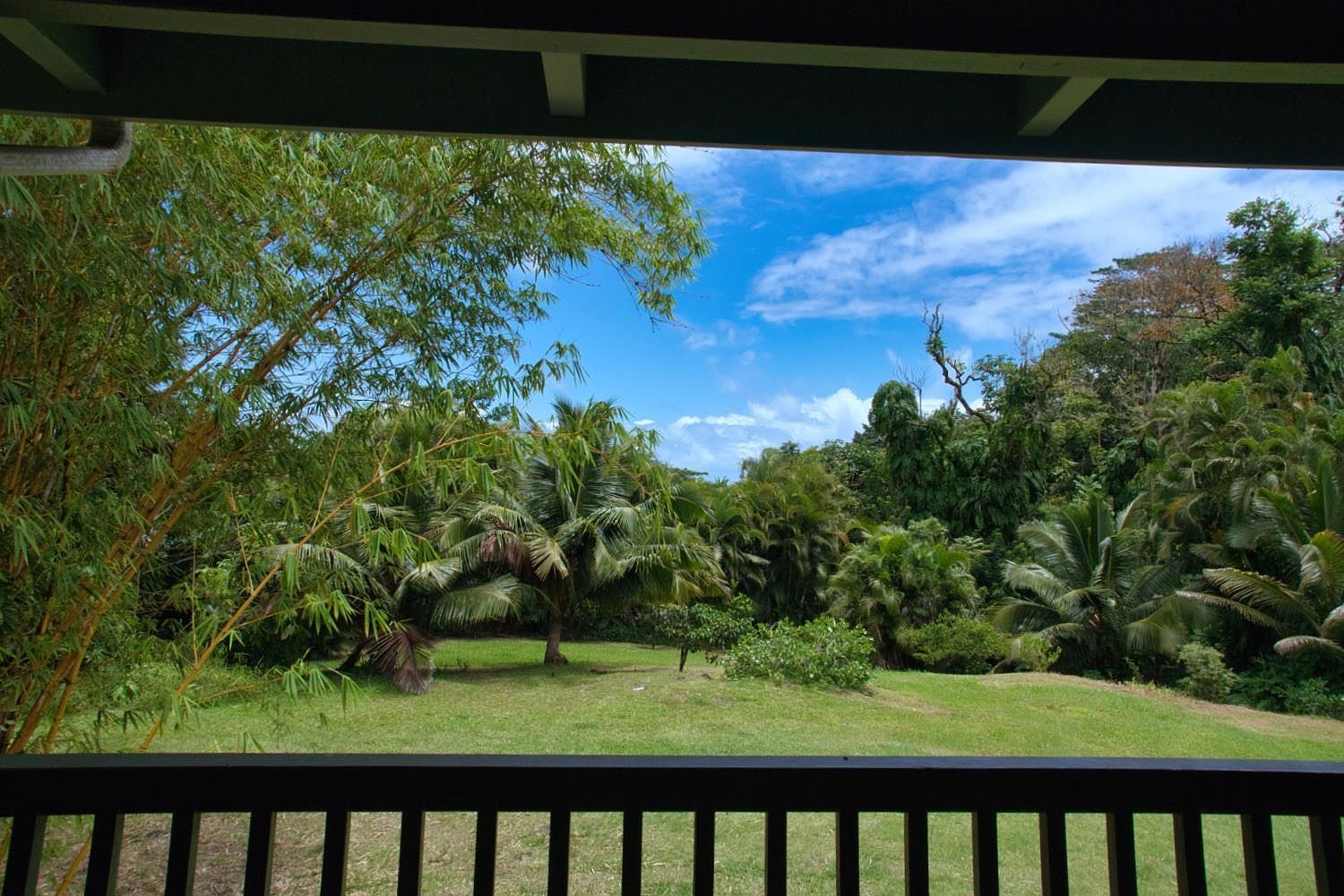 143 Alalele Pl Hana, HI 96713 - Thumbnail 3