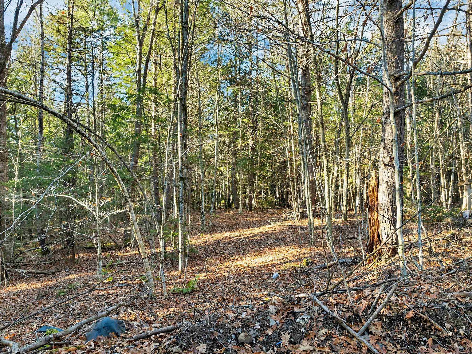 0 Borough Rd Bristol, NH 03222 - Thumbnail 3