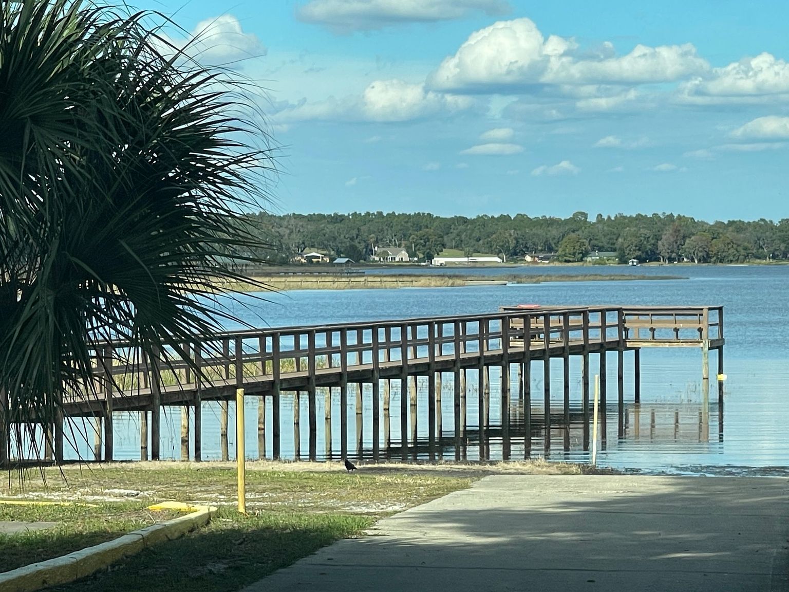 9701 E Highway 25 #196 Belleview, FL 34420 - Thumbnail 3