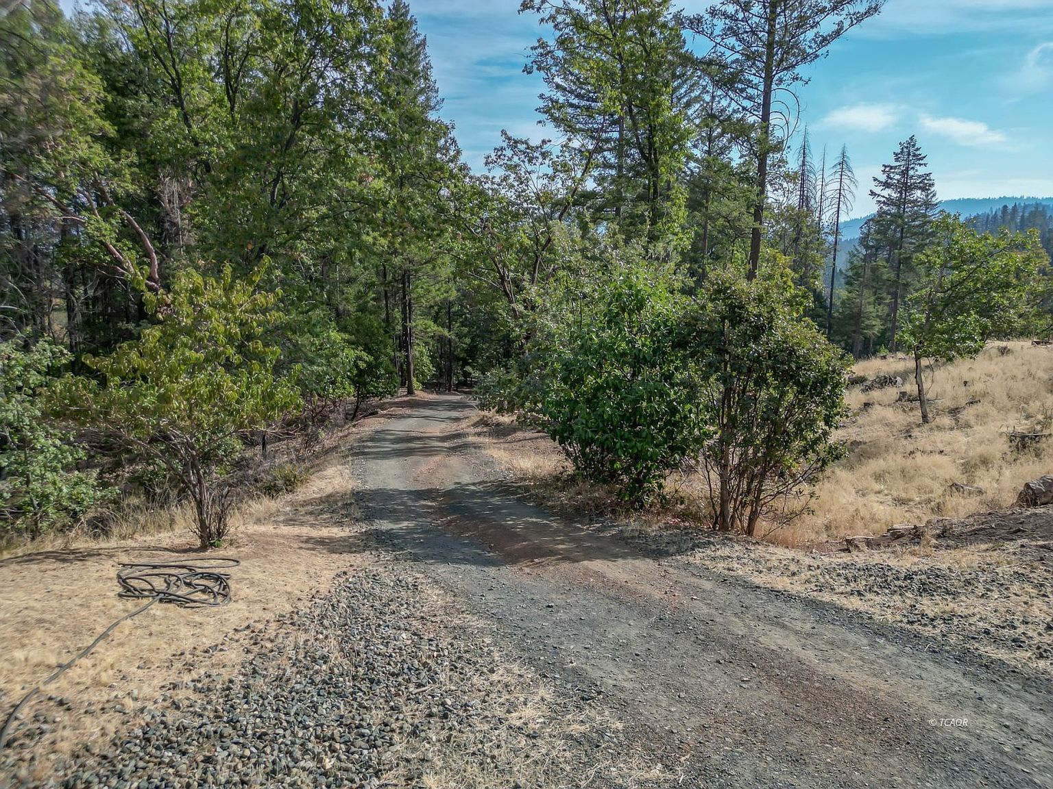 1800 W Upper Democrat Gulch Rd Weaverville, CA 96093 - Thumbnail 3
