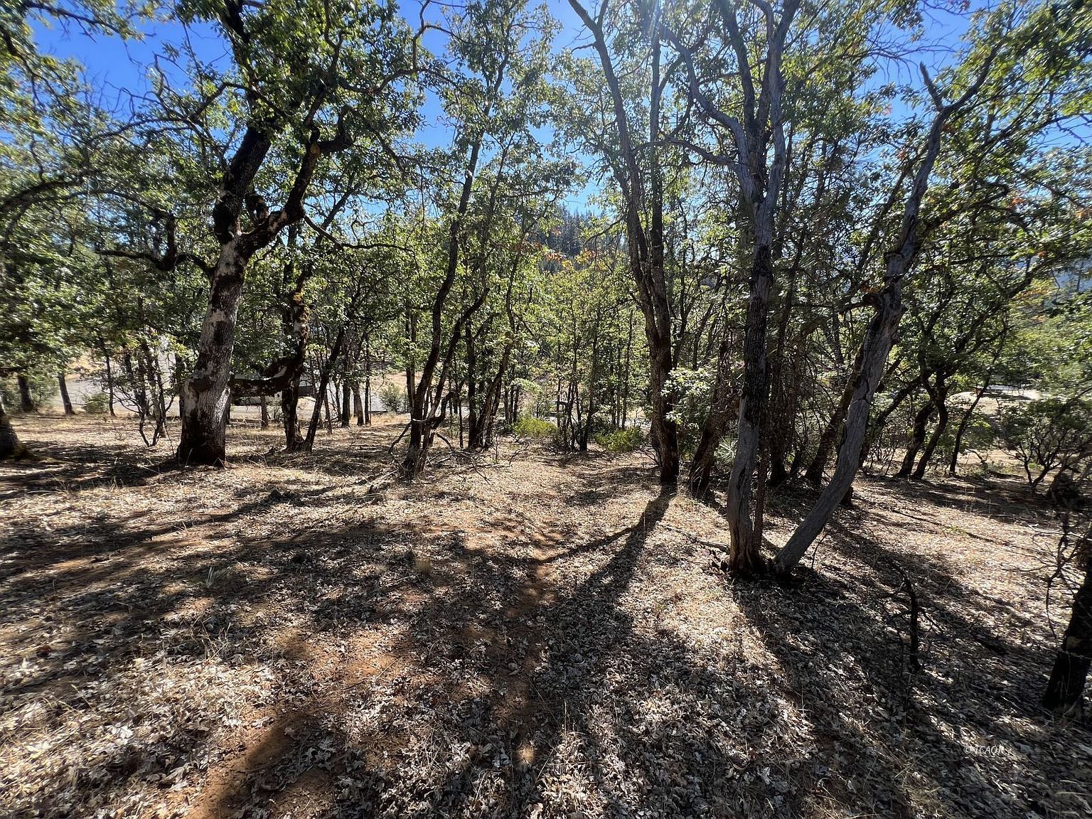 841 Browns Ranch Rd Weaverville, CA 96093 - Thumbnail 3