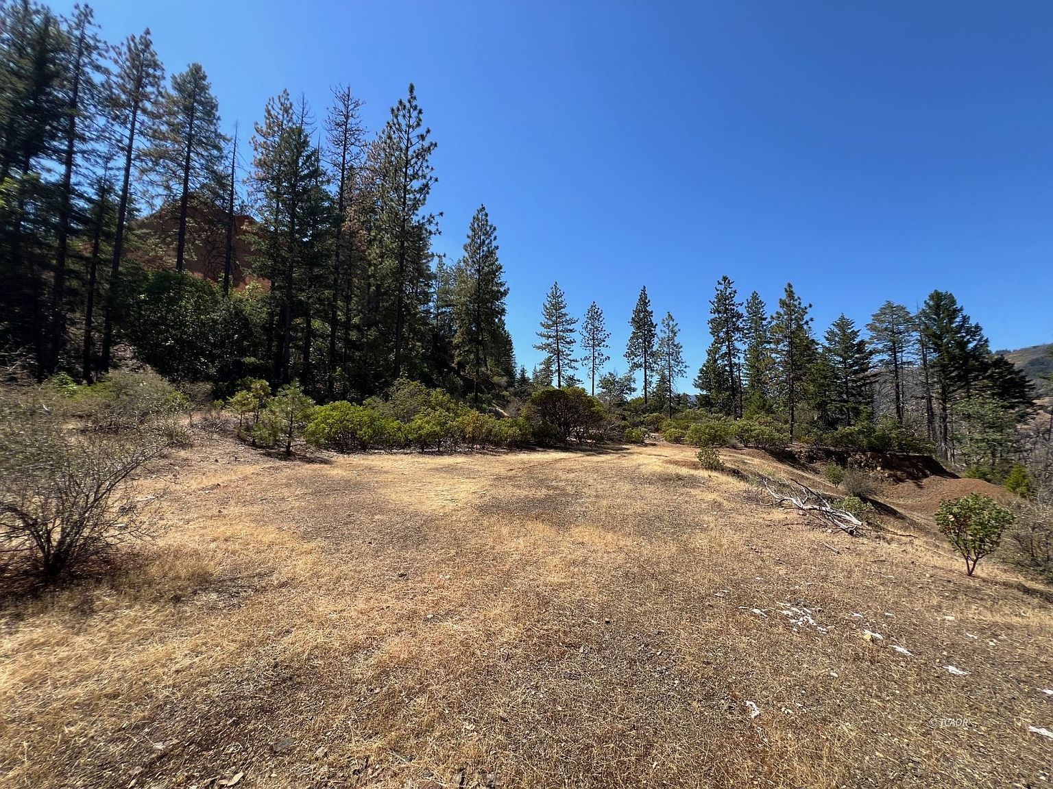 1271 Lake Rd Junction City, CA 96048 - Thumbnail 3